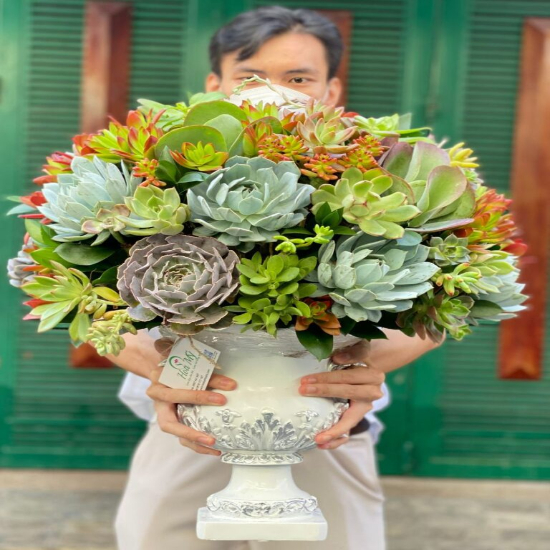 lang-hoa-khai-truong-dep-768x1024-fotor-20240801205847